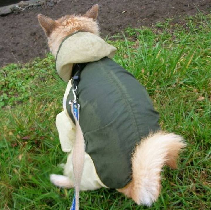 A2d7f045 e498 4602 8ac9 2fbe4830dd39