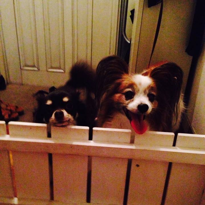 A2d87a57 4e3e 4f60 8422 1c3f8b970522