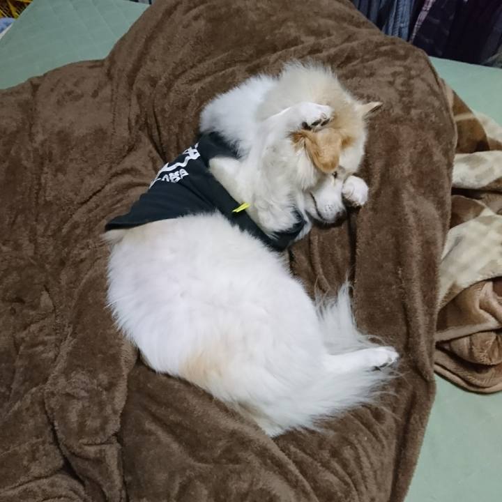 A2d8823c 3be7 496b 973c 382c43e80a72