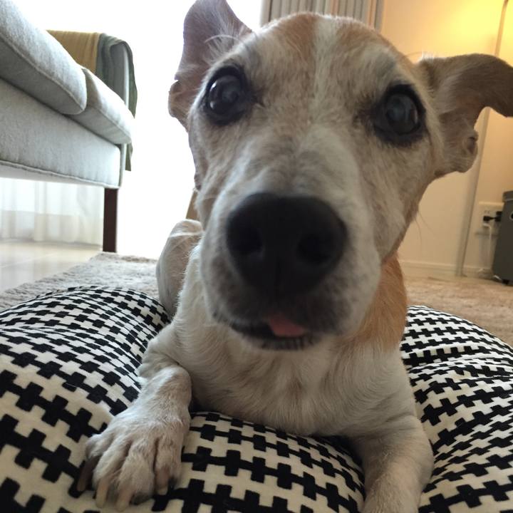 A2d8d7f6 ce3a 4818 b2f8 29130edd4745