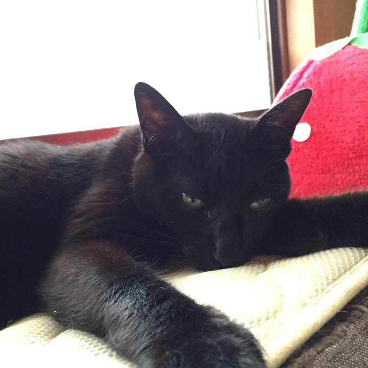 A2d92a7c a40a 47ab a428 ea36b6b75574