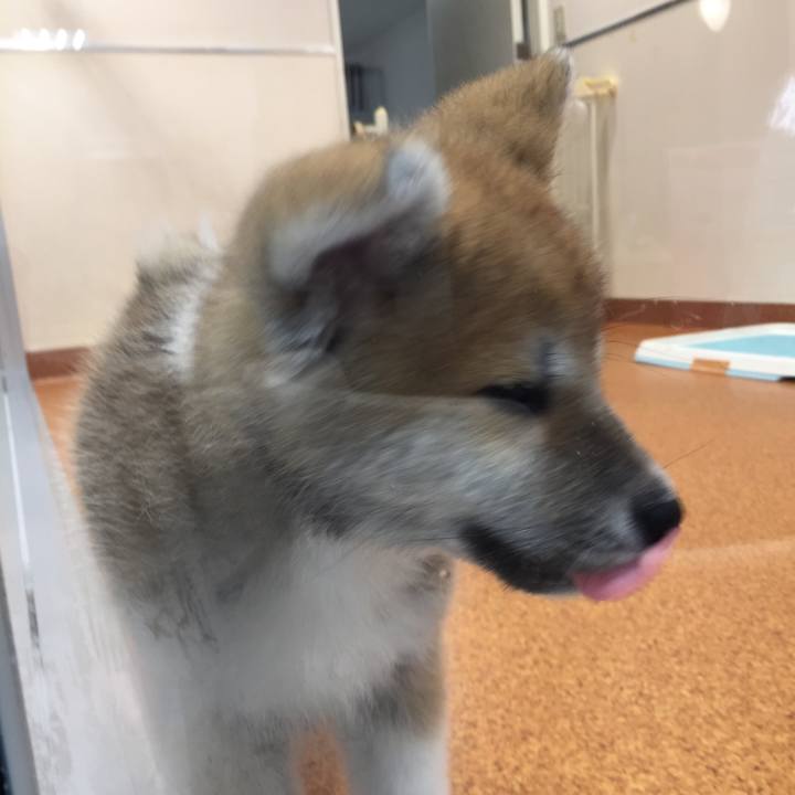 A2da9baa 9f7f 4d21 bc8c 28309ef1e034