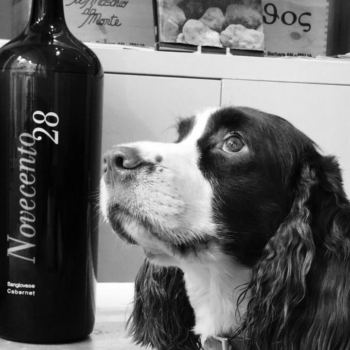 A2dbaa2d 83fa 477e a92b b46f69934bac