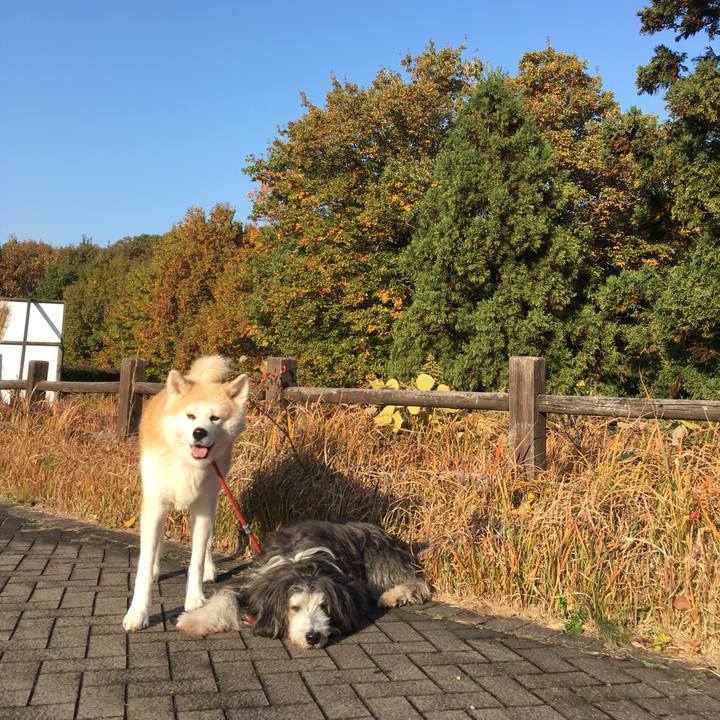 A2dc060c 76df 4de2 8a67 4a2909890553