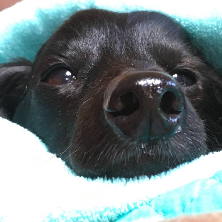 A2dc1906 562d 4781 85f1 1cba6647346d