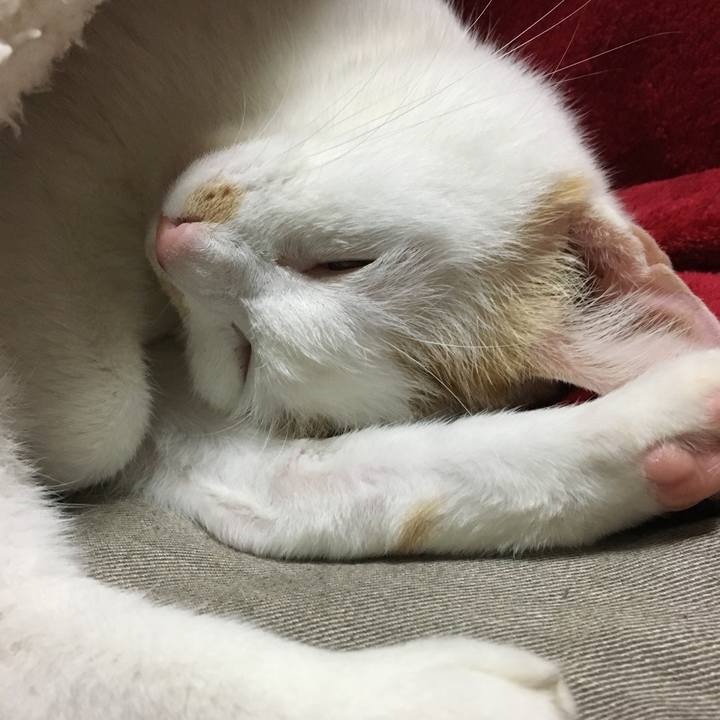 A2dc2904 6392 47a6 89f3 b683ee29f8f2