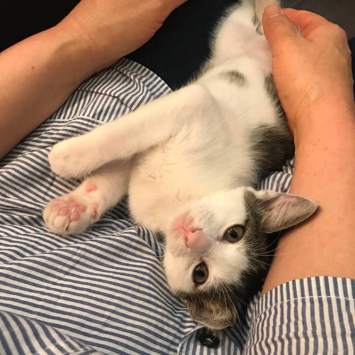 A2dcd4ee 0e83 408e 9e53 a983d7fe4247