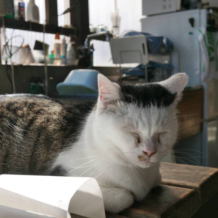 A2dd083b cfbe 4bc5 828d d23adbcfba02