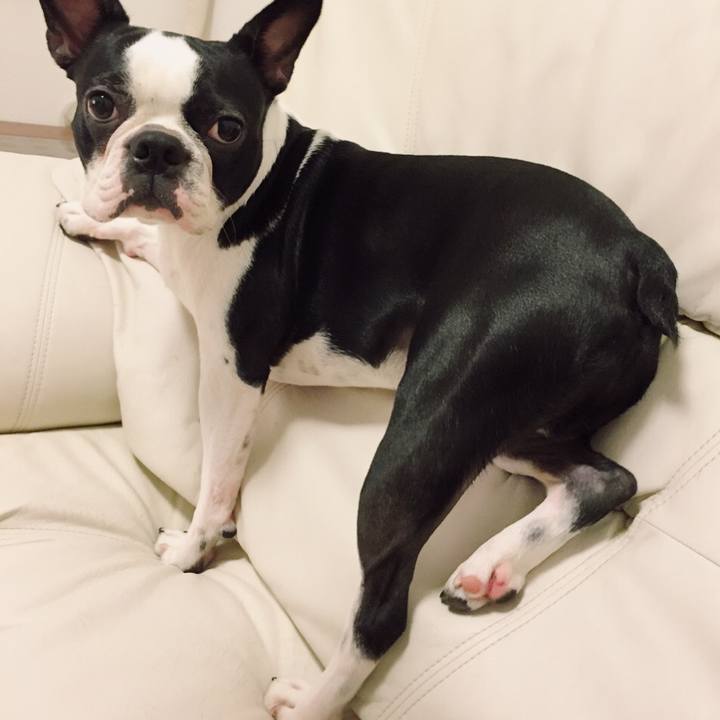 A2dd0a88 62a0 4dc8 b770 153c413ed195