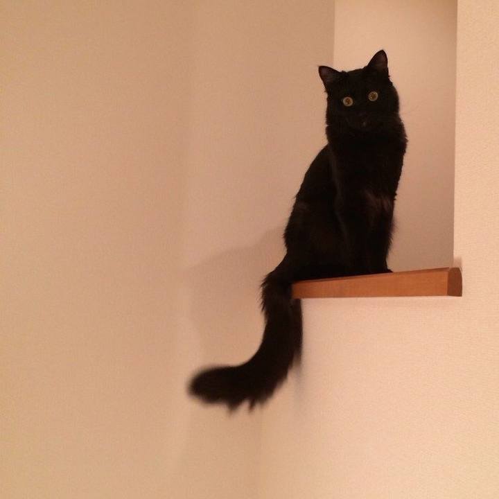 A2dd247d 5dde 4fa5 b48b 8ca2ba805150