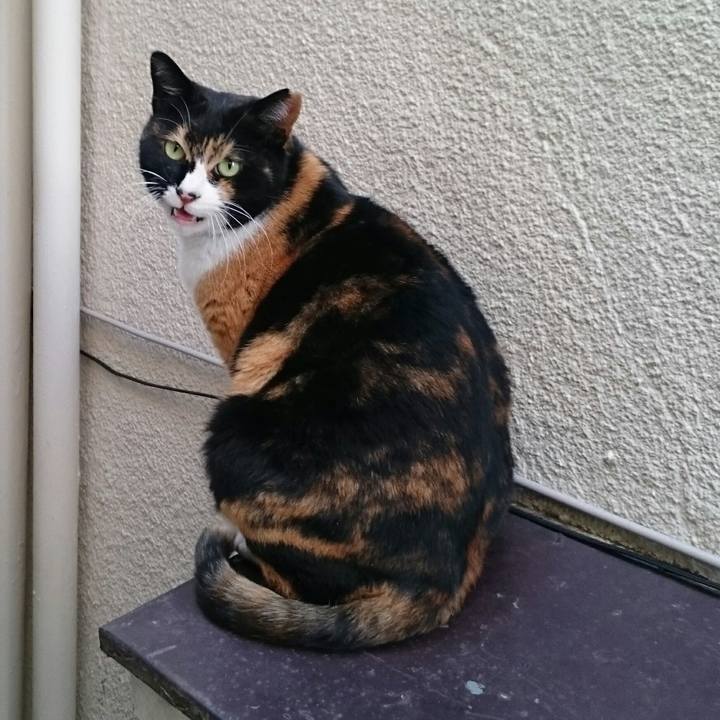 A2dd87da 4d3c 4fc5 b00b 38c0567d130a