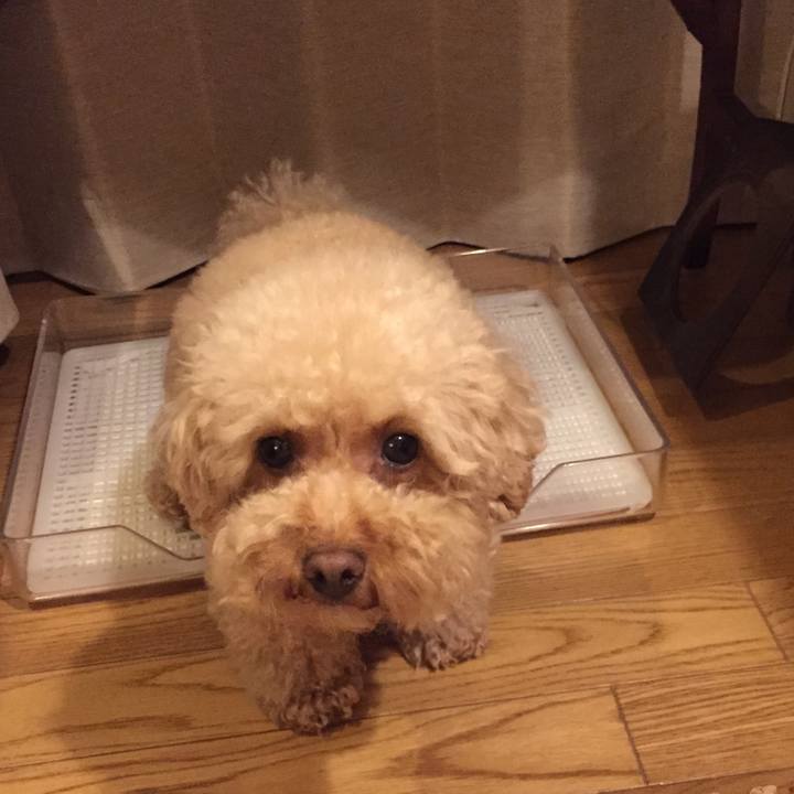 A2dd9064 efb3 4f79 ab19 e8f9ea2f74f9