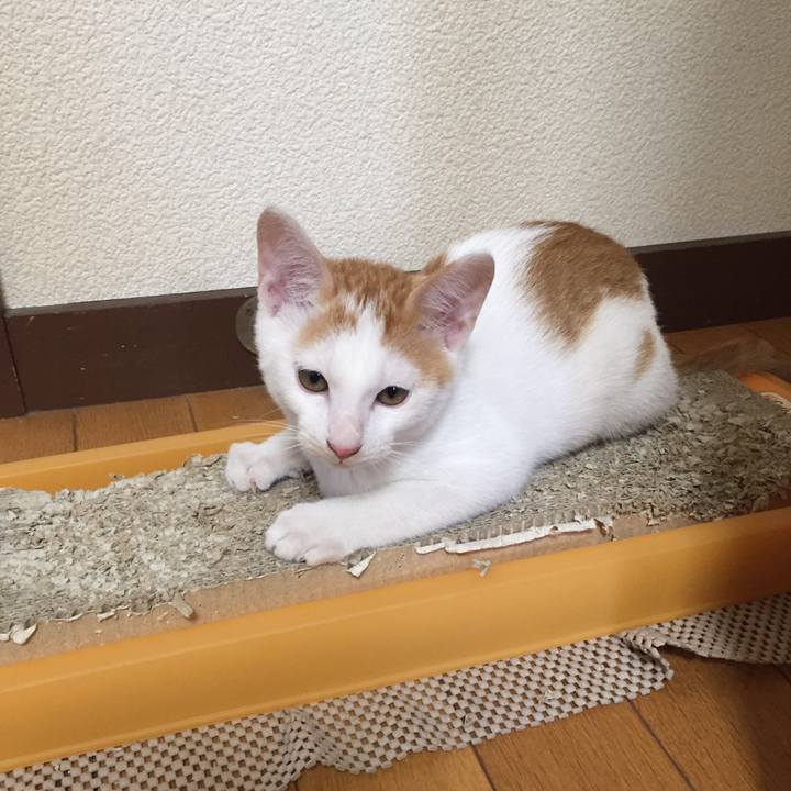 A2dd99d5 f185 4e8d a3fb dec53972386e