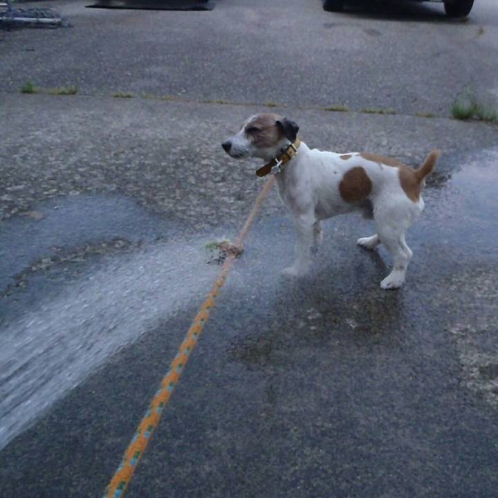 A2ddd150 61f8 48e7 aedd d03d673b334b