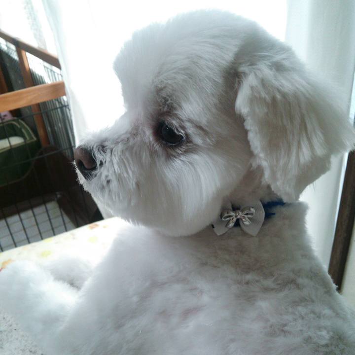 A2de16c1 86e7 416d b74e 70a000fb8050