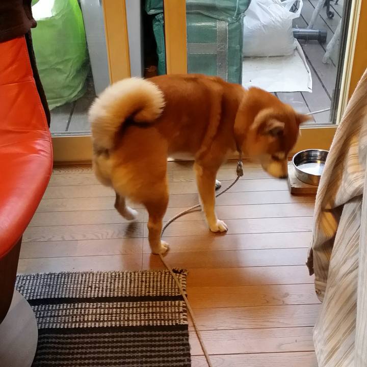 A2deffb2 0529 4926 83c4 048caba22034