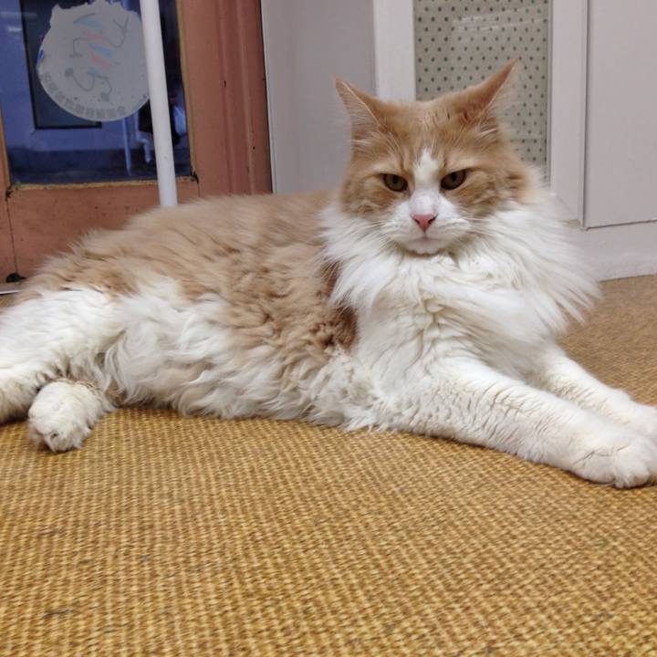 A2df35ab 039c 4504 930a 9d0b8b312b68