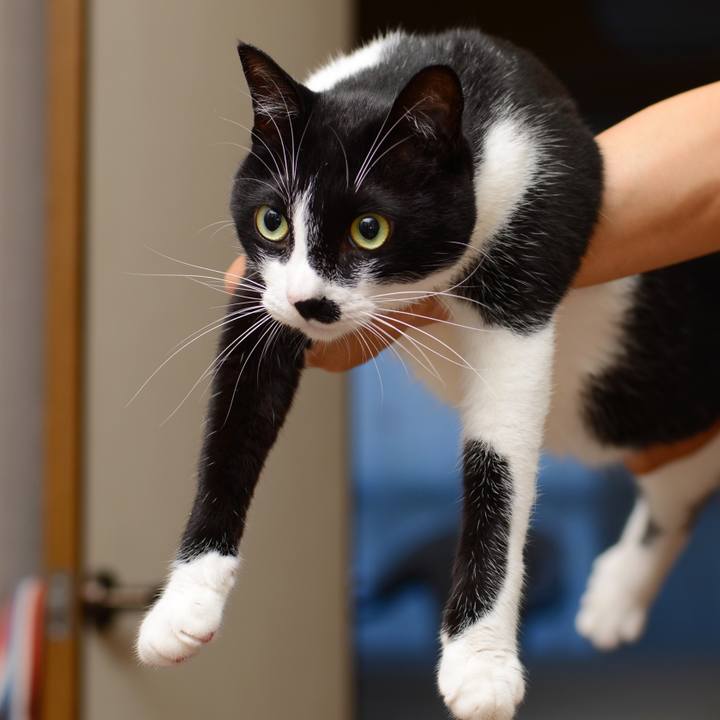 A2df6f8a 13f3 4d96 b058 216682671c85