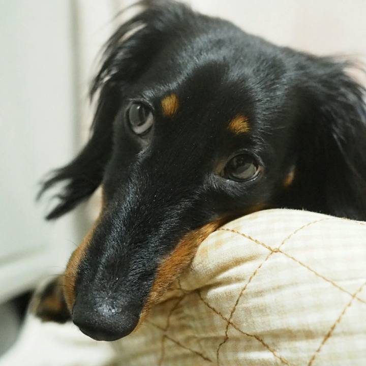 A2dfd9b3 55cd 4ca7 96b2 ae291f2d6a42