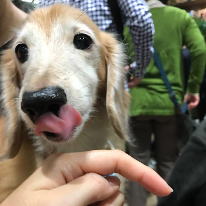 A2e01dab 2f0a 49a3 9b19 191881f97e1d