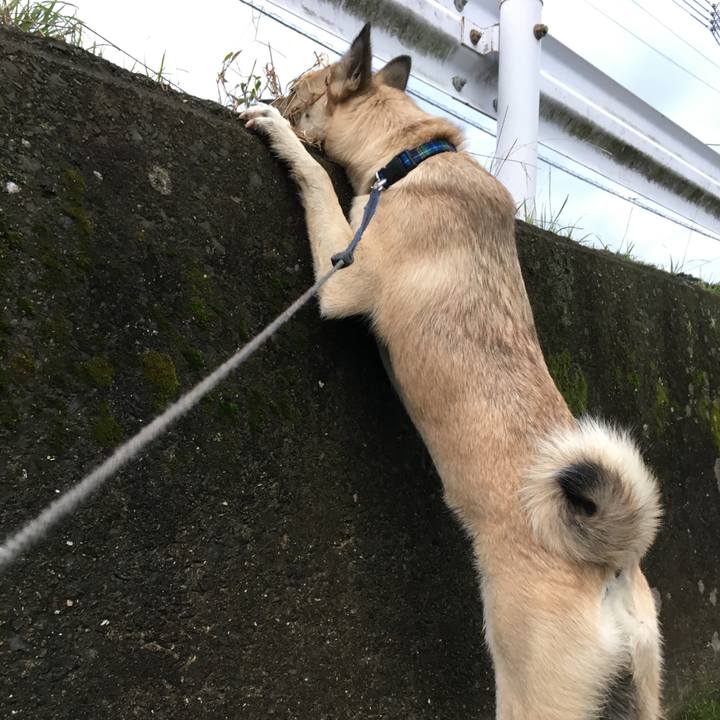 A2e07376 25c0 41c7 bc0a 0d2048af3277