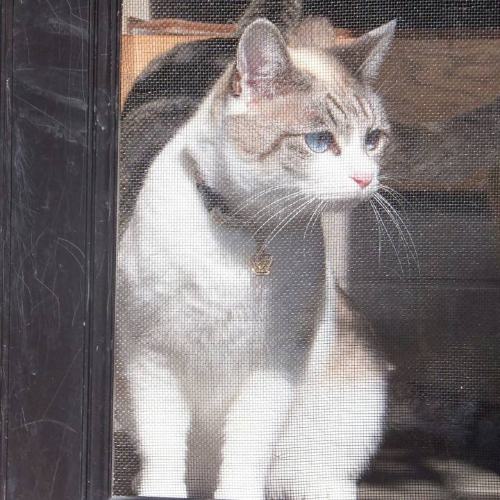 A2e104a6 1a71 4b10 8f44 56997f849b00