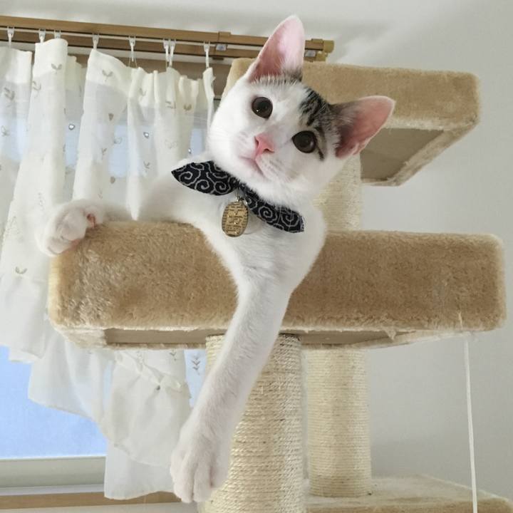 A2e140b1 1bf7 4b5a b704 b53d49cf7278