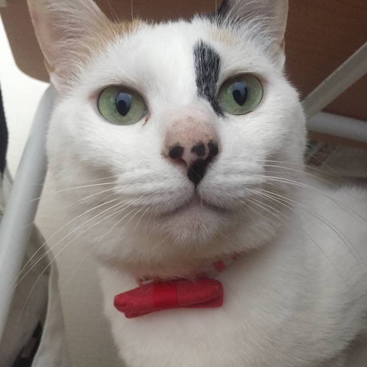 A2e19a45 8a35 41e6 9d4d 062a068c1f18