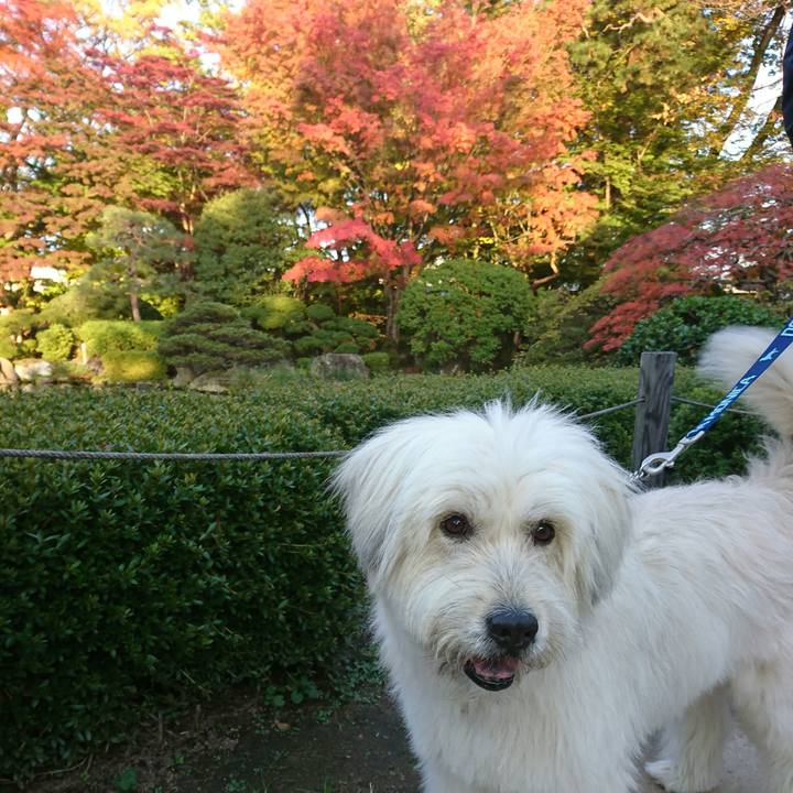 A2e1c24d 6e0a 4c8b 8167 ad3503457646