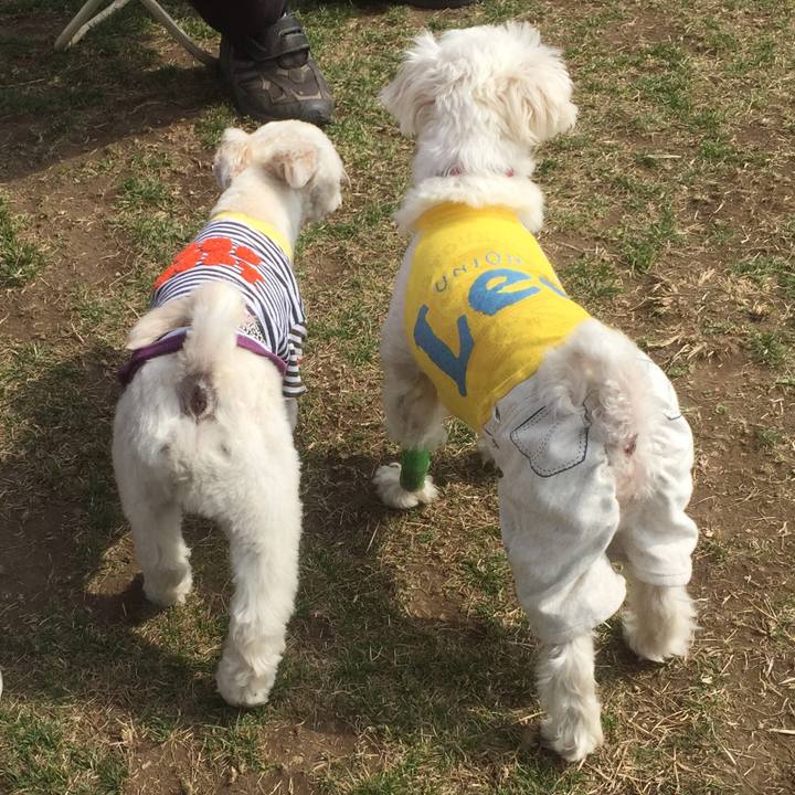 A2e21dd5 f8d9 4c42 bf22 5a77fe80eeab