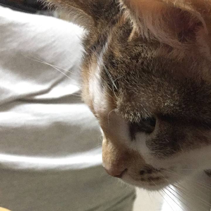 A2e2523c 8df9 4269 abd3 cda9a49dfaaf