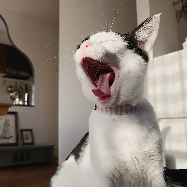 A2e4983a 08aa 4726 9164 cefdd68efe9a