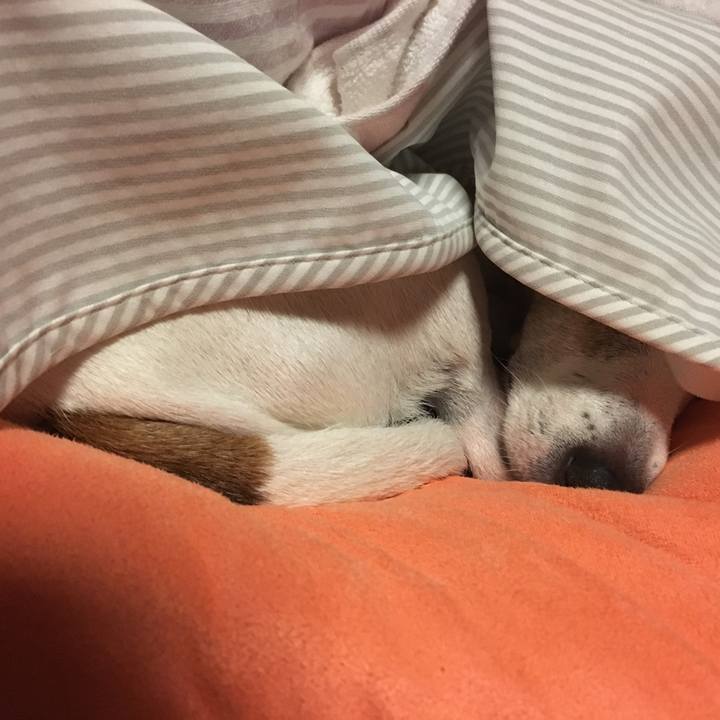 A2e551b3 6cd1 420c ab61 1e814fa0d390