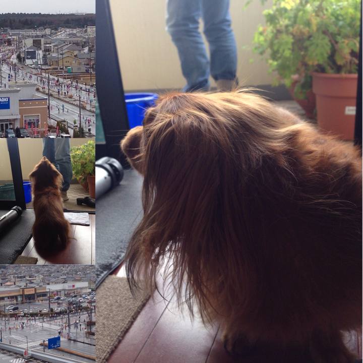 A2e63078 e006 4842 b5ae 5c5ed1c805a7