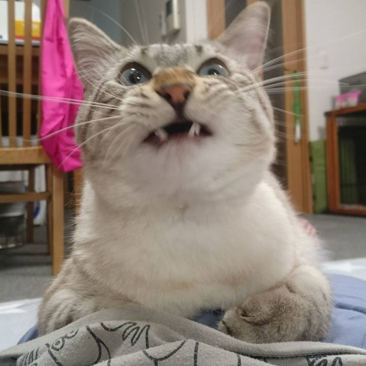 A2e6e8ea 2723 413e 8a4d 82decc5c9900