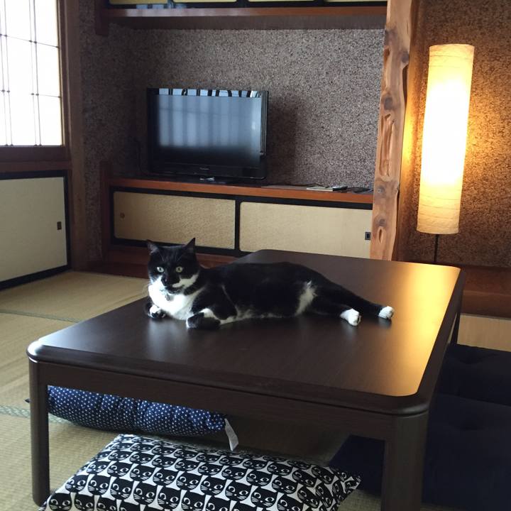 A2e7196d 18fe 4e14 9fa6 e797f8175785