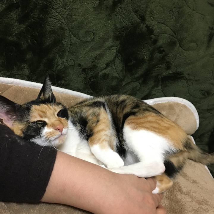 A2e75b9a 7284 4cca bd4f 531a99f4694b