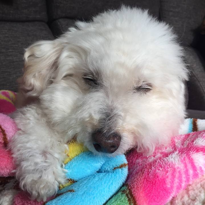 A2e7ac0b 3fe7 4241 9f56 c9c9e3635516