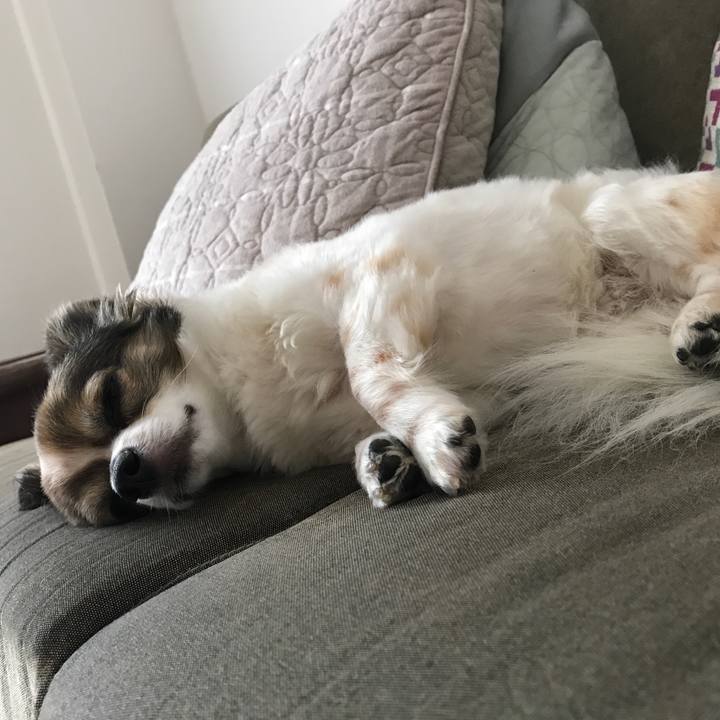 A2e7f00e f312 4ae2 b4f7 696862380813