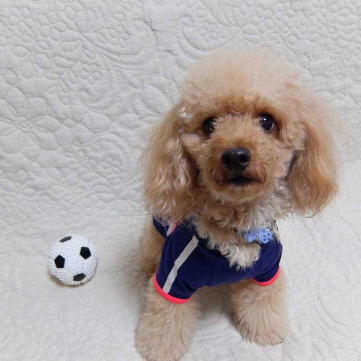 A2e7f564 6baf 43dd 8d54 bcd5104890c9