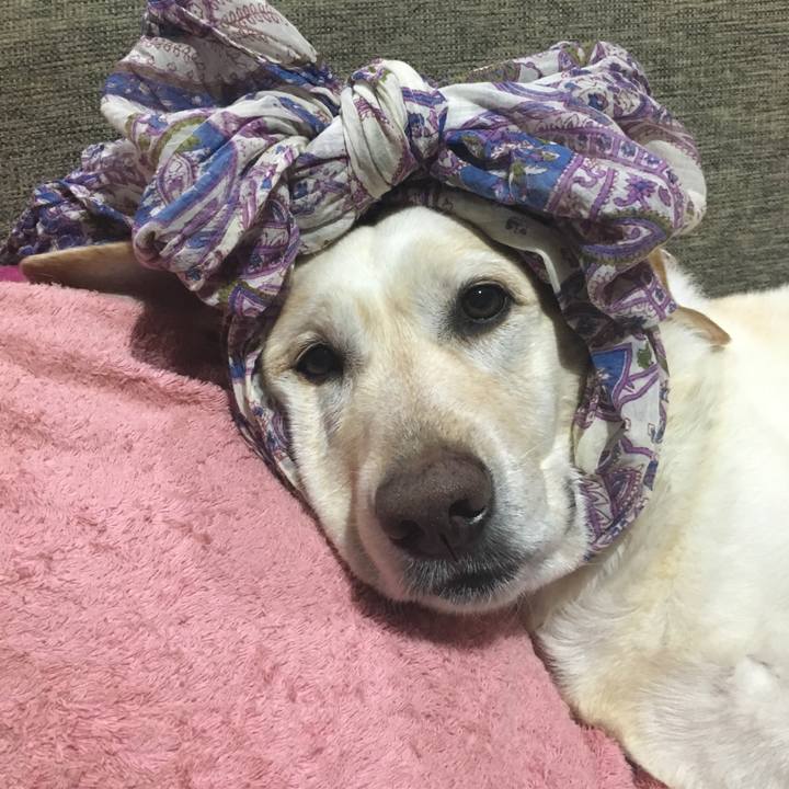 A2e864ce 859b 4eb5 beb0 cac7e44a5163