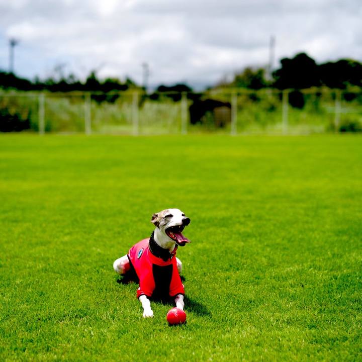 A2e8e87b 9834 4464 994d 4de346b95f8c