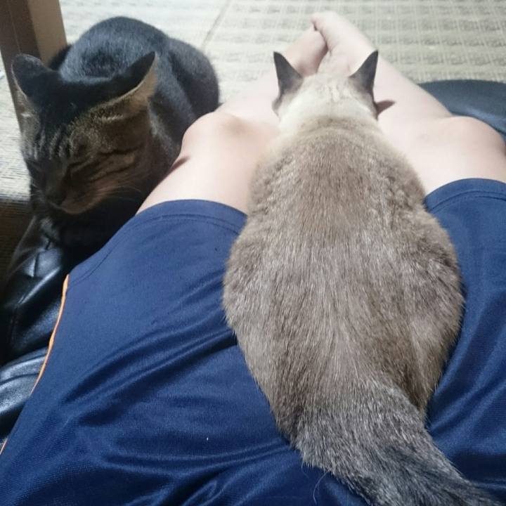 A2e93ca8 d034 425b 85e9 e4a388d53821