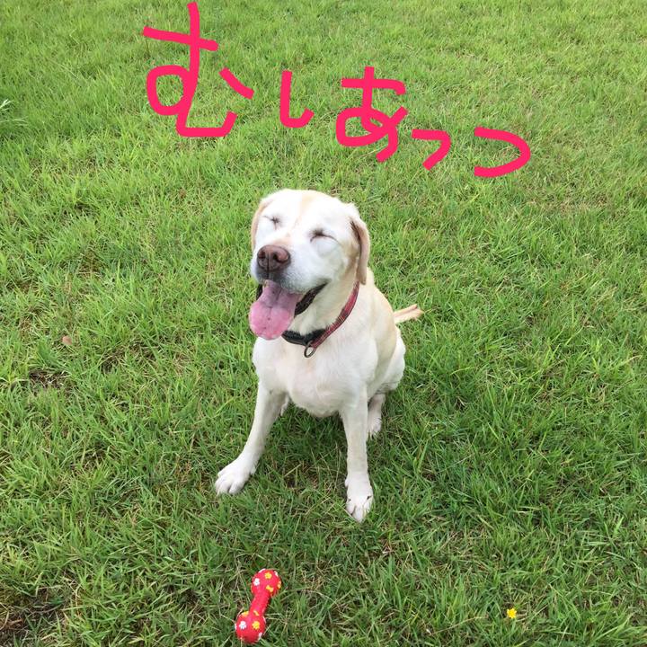 A2ea74fc 7bf5 4341 862d a23974e2b682