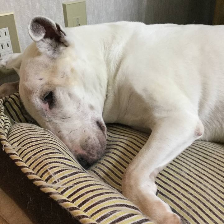 A2ea9a8e 3ff9 4fe1 b668 732019cc73db