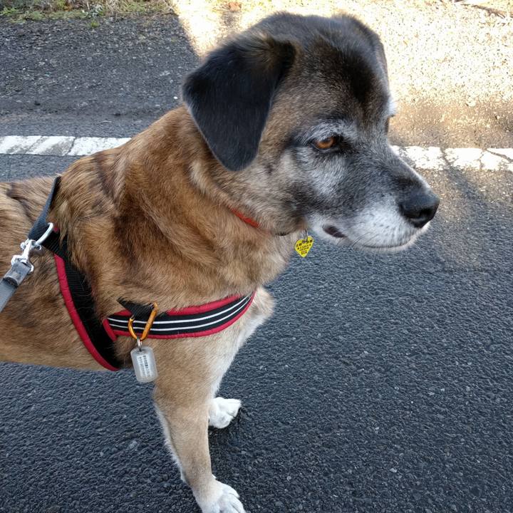 A2ea9c18 257c 4961 b8d3 5e101a4123ab