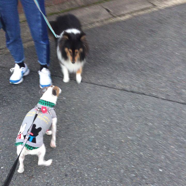 A2ead621 a77b 476c adc4 e98fb215bd87