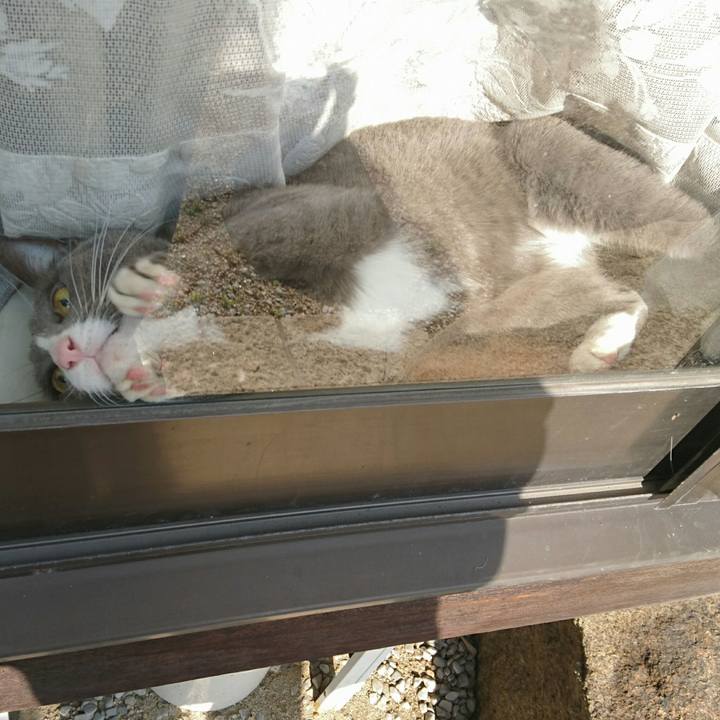 A2eafcbf a5b0 49b8 abd8 a015faeafbc2