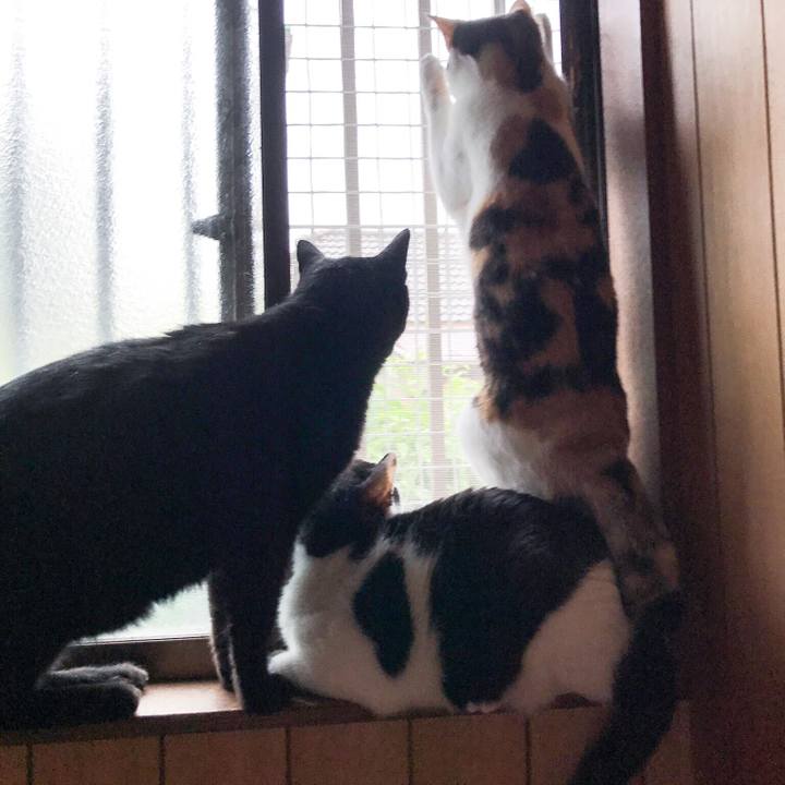 A2ec0b3e b015 4dcf 8321 a52ea537121b