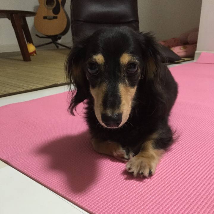 A2ed4644 832e 42ab b511 f2b06b87f7dd